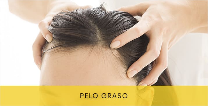 Pelo Graso – Los mejores Champús y tratamientos para pelo graso