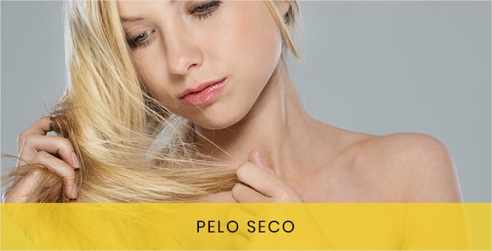 Pelo seco – Champús, acondicionadores, mascarillas y tratamientos 