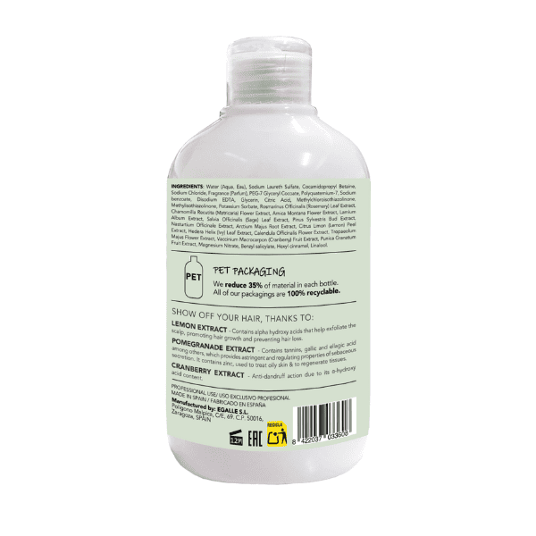 Anea Techline - Champú Anticaída, Anticaspa y Antigrasa 450 ml