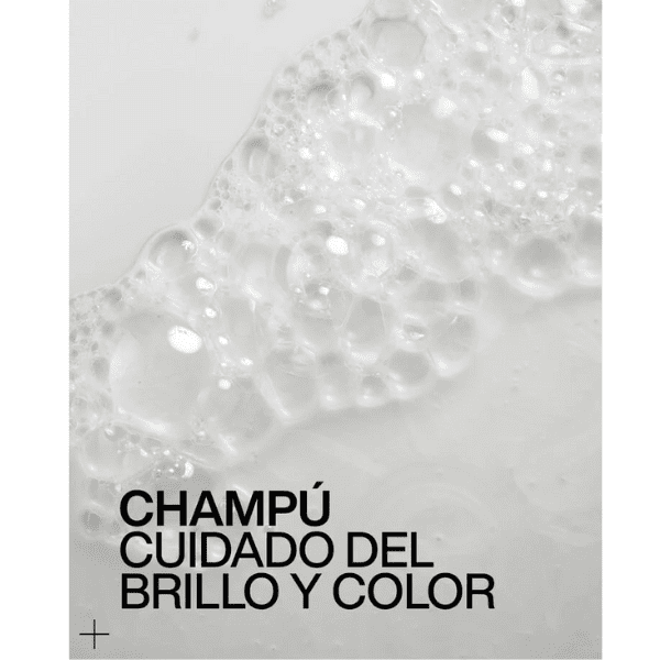 Redken - Champú ACIDIC COLOR GLOSS para Cabellos Teñidos y Sin Brillo (Sin Sultafos) 300 ml