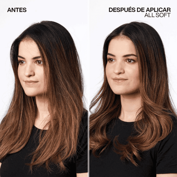 Redken - Champú ALL SOFT para Cabellos Secos 300 ml
