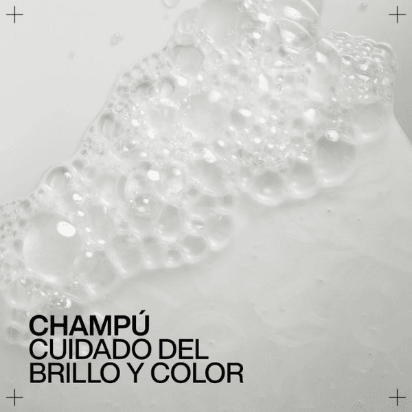 Redken - Champú ACIDIC COLOR GLOSS para Cabellos Teñidos y Sin Brillo (Sin Sultafos) 500 ml
