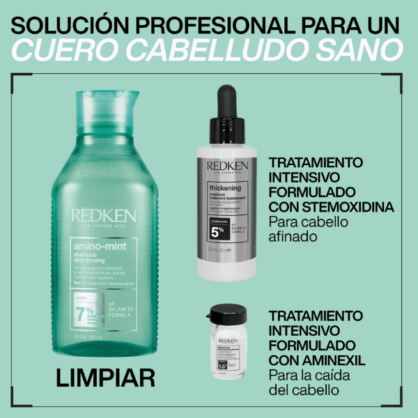 Redken - Champú AMINO MINT Antigrasa 300 ml