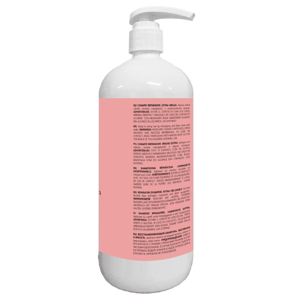 Anea Techline - Champú Reparación y Brillo 1000 ml
