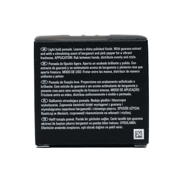 Sebastian - Pomada Fijación Ligera Sebman THE DANDY 75 ml