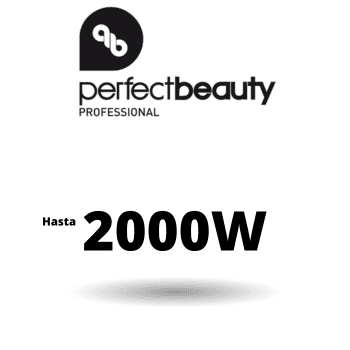 SECADORES PERFECT BEAUTY