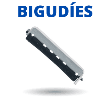 BIGUDÍES