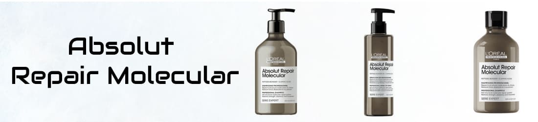 ABSOLUT REPAIR MOLECULAR
