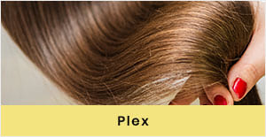 PLEX