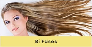 BI FASES