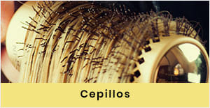 CEPILLOS
