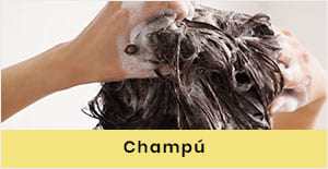 CHAMPÚ