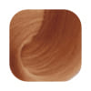 Tinte Trend Up Pastel Nude    Albaricoque Apricot