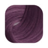 Tinte Trend Up Pastel Nude    Violeta Violet