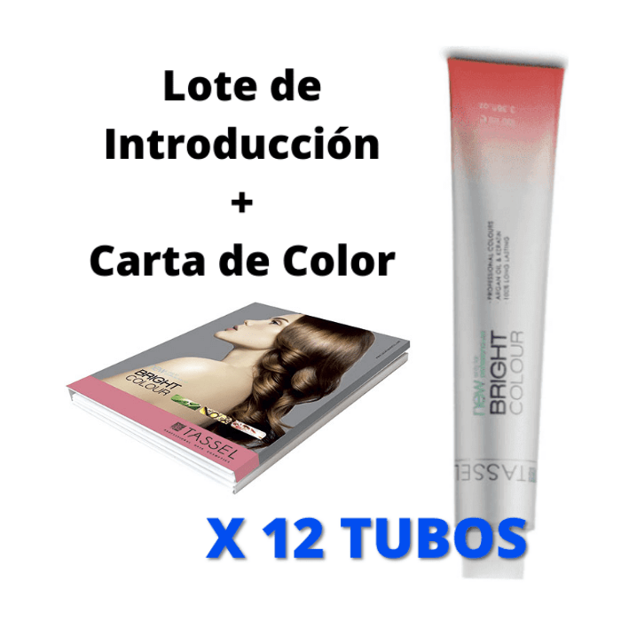 Tassel - Lote INTRODUCCIÓN 12 Tintes XXL + Carta de Color Gratis