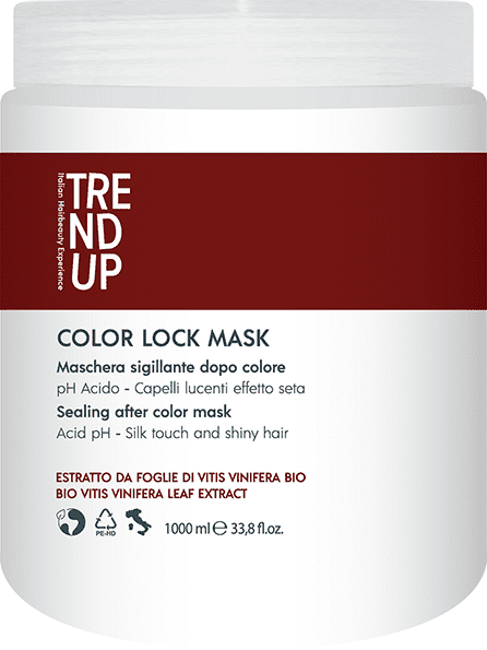 Trend Up - Mascarilla COLOR LOCK para cabellos teñidos 1000 ml