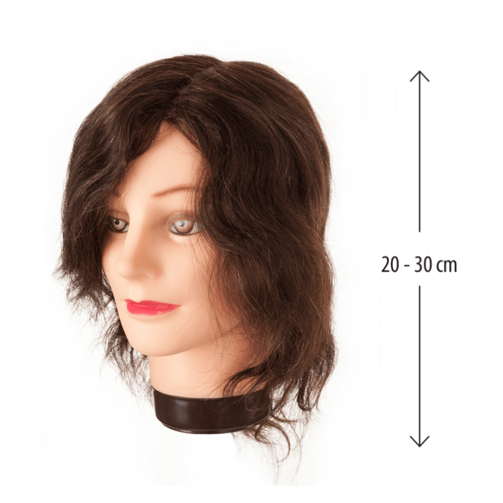 Eurostil - Cabeza MANIQUÍ mujer CABELLO NATURAL 15-18 CM con soporte (01455)