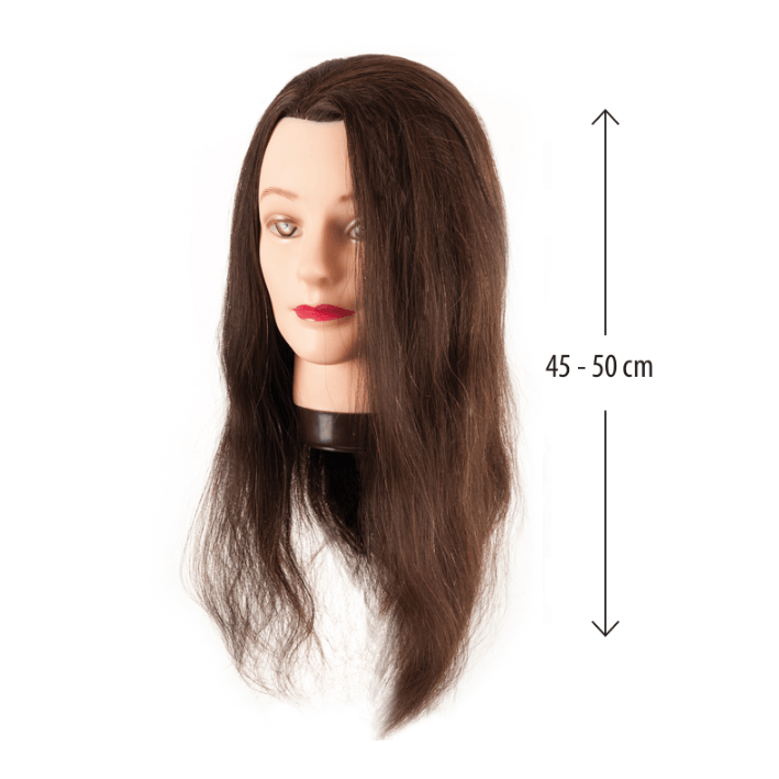 Eurostil - Cabeza MANIQUÍ mujer CABELLO NATURAL 45-50 CM con soporte (00603)