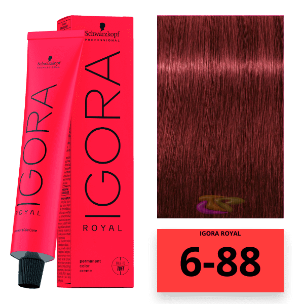 Schwarzkopf - Tinte Igora Royal 6/88 Rubio Oscuro Rojo Intenso 60 ml 