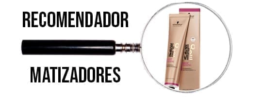 Recomendador de Matizadores