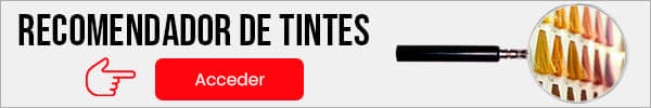 Recomendador de Tintes