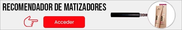 Recomendador de Matizadores