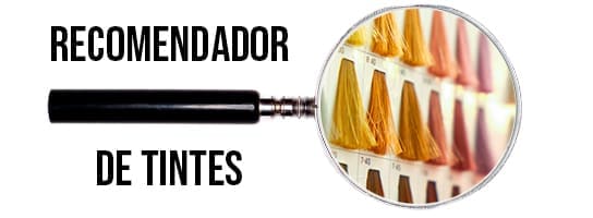 Recomendador Tintes