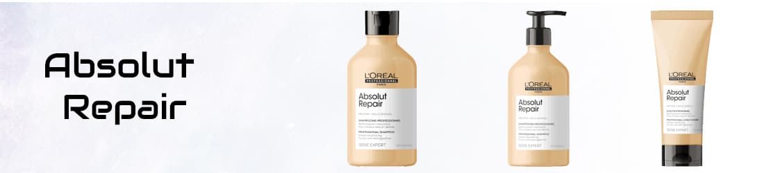 ABSOLUT REPAIR